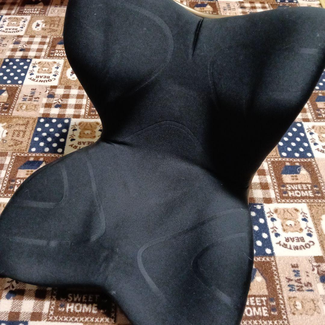 Style PREMIUM 骨盤矯正クッション