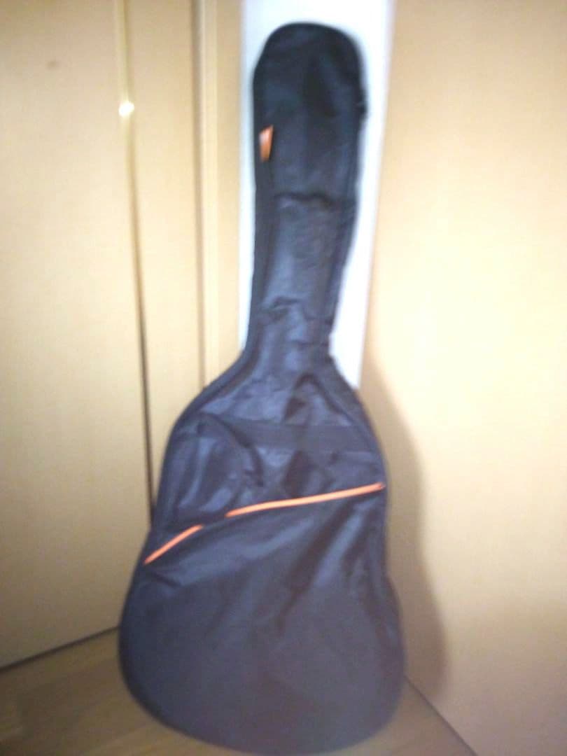 Ashton Acoustic Guitar アクアブルーアコギ 初心者に最適