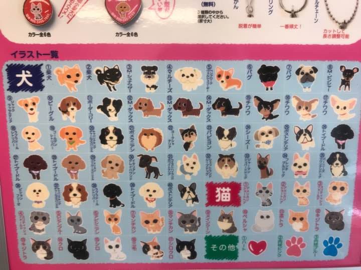 わんちゃん ねこちゃん迷子札 (震災などに)