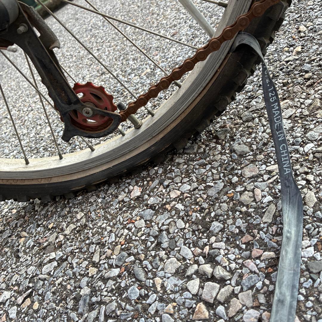 お値下げ‼️LOUISGARNEAU 24インチジュニアマウンテンバイク　ルイガノ