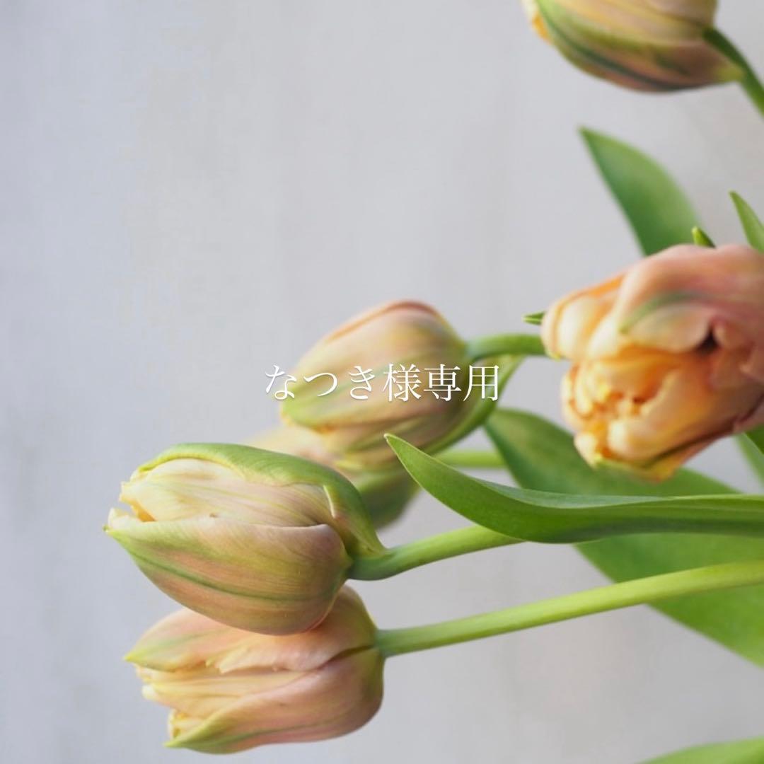 なつき