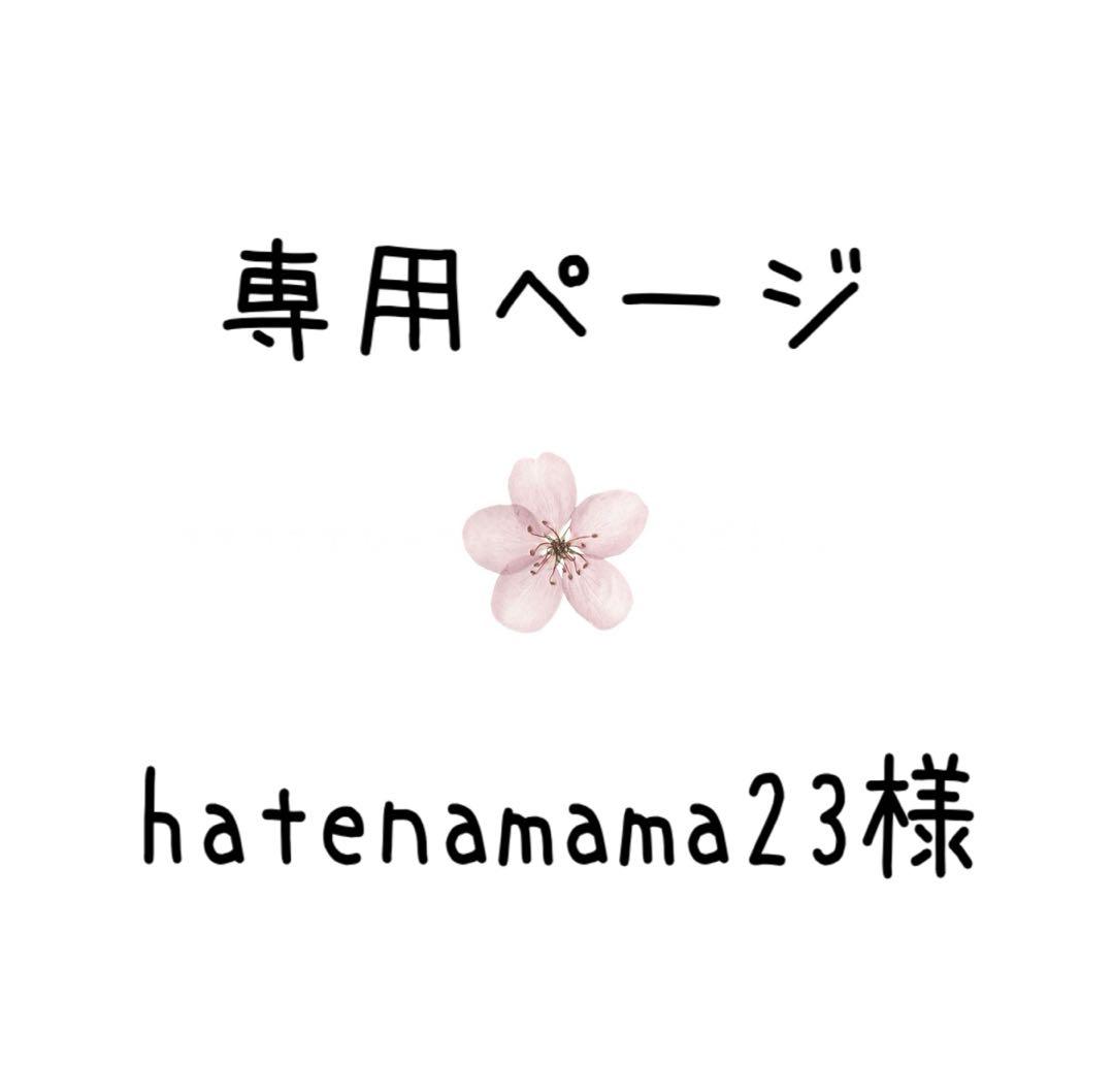 hatenamama23様 ~専用ページ~ 20点セット