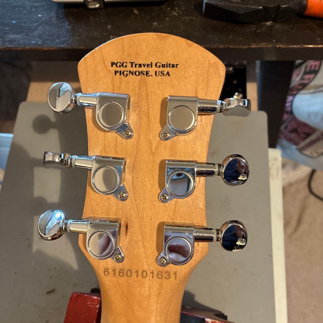 ピグノーズPGG200 サンバースト