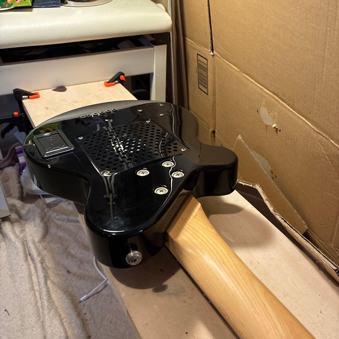 ピグノーズPGG200 サンバースト