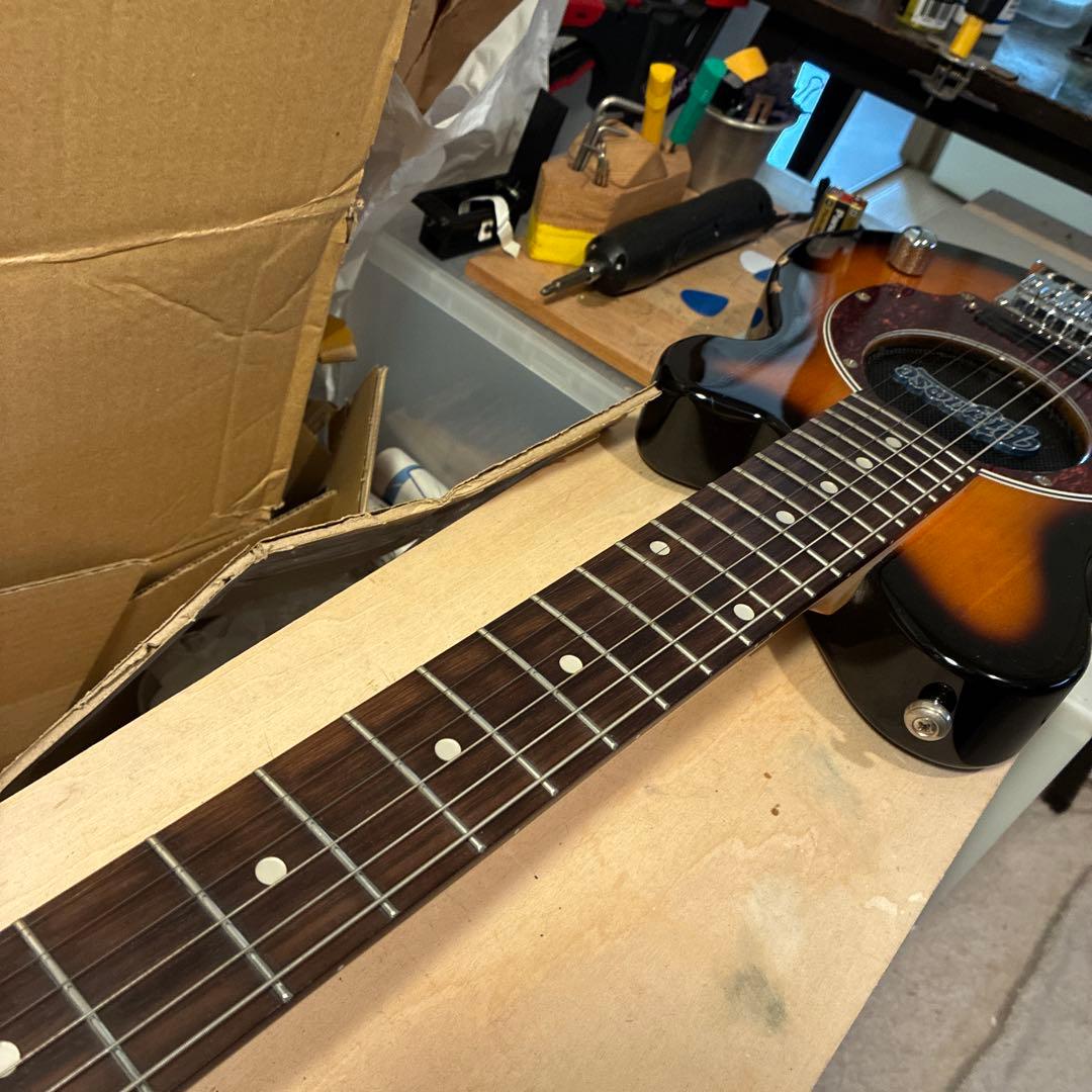 ピグノーズPGG200 サンバースト