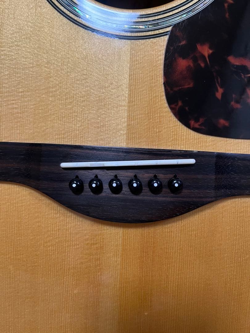 YAMAHA LL16ARE （セミハードケース付属）