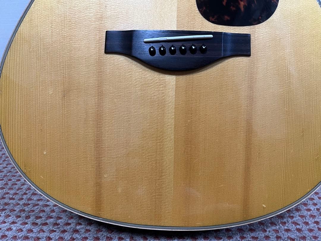 YAMAHA LL16ARE （セミハードケース付属）