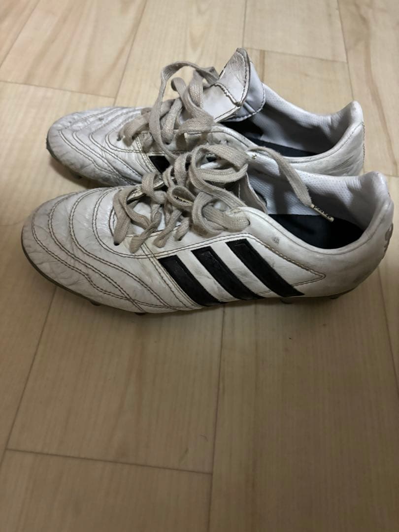 アディダスパティークグロー