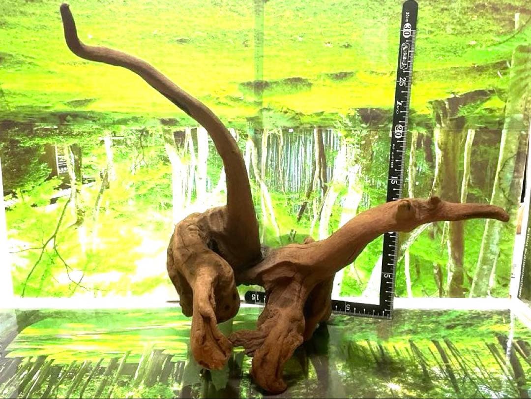 モスキート4点 天然水槽用流木