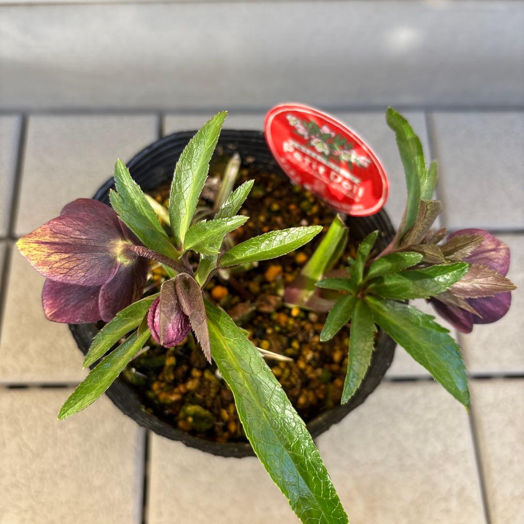 りーちゃん様ご依頼品