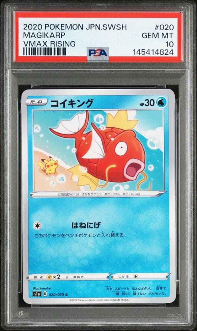 ポケモンカード コイキング psa10