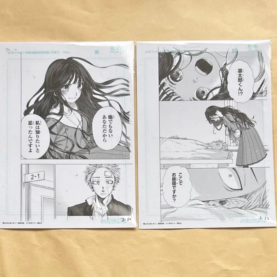 薫る花は凛と咲く 複製原画 2枚