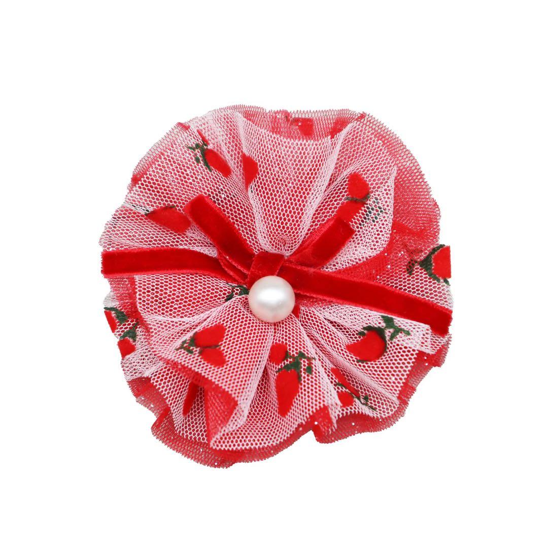 リュクスバーディLuxe birdieルージュワンピースバレッタセット犬服レッド