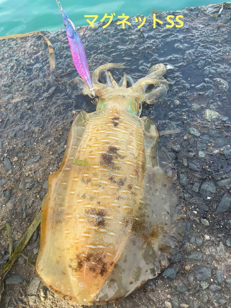デュエル　ヨーズリ　エギ　エビQ・マグQ・マグネットSS