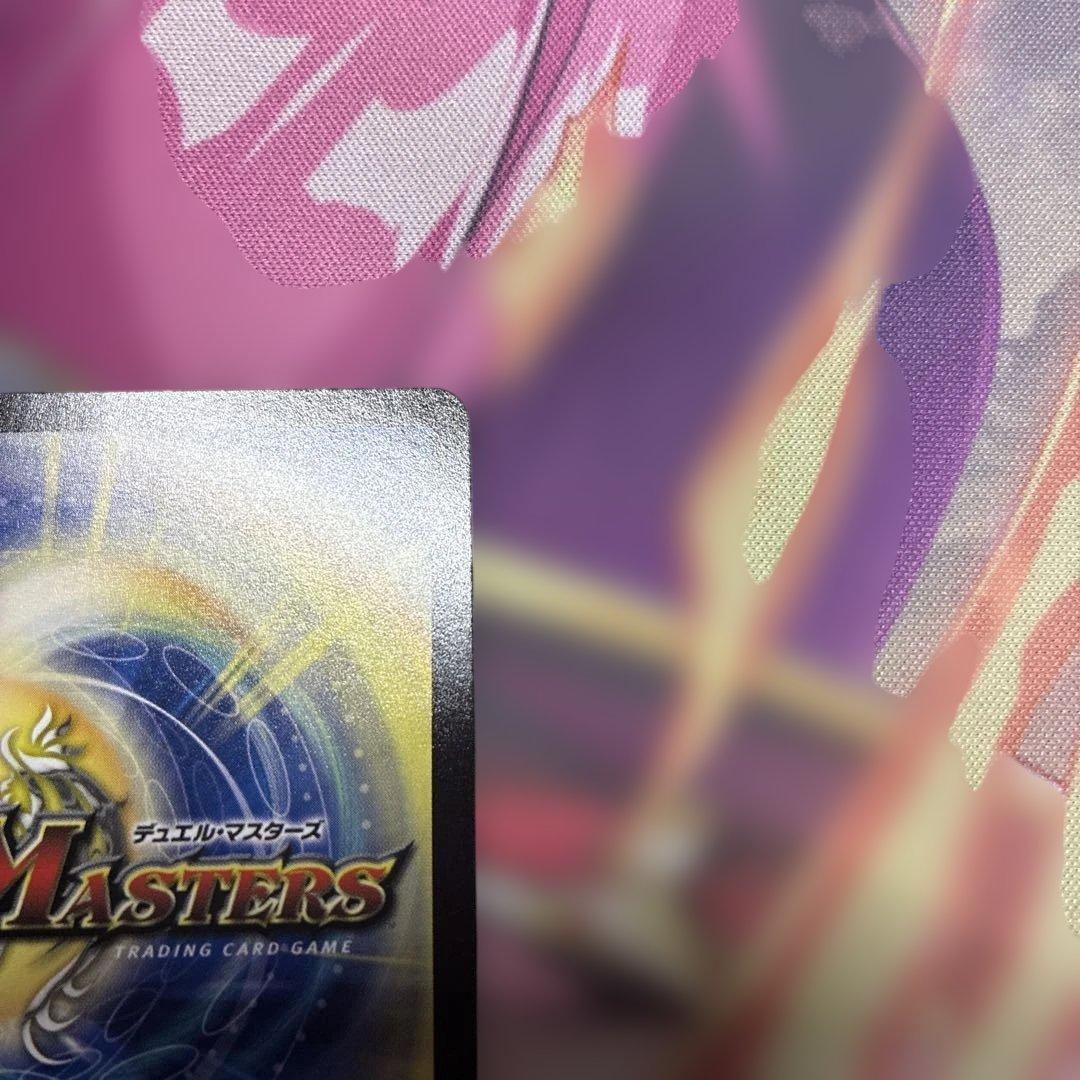 ね*ろ様 ファラララ　ホリデー　関係者カード　DECKY THE HALL プロ