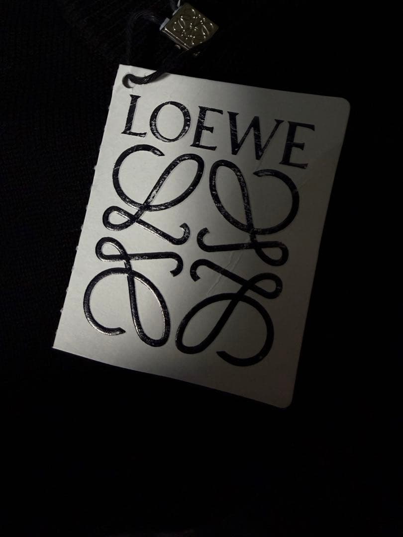 LOEWE ロエベ セーター　メンズ ニット L コットンアナグラム タグ付き