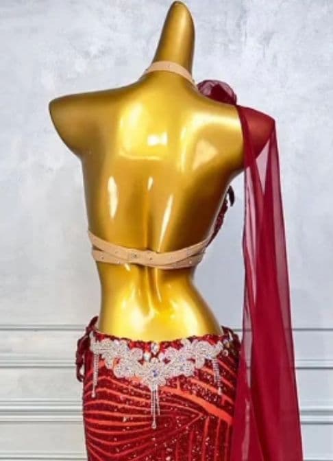 ベリーダンス オリエンタル衣装 透け ブラ スカートセット オーダーメイド