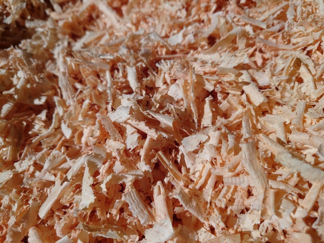 ひのき、すぎ、かんなくず ( オガクズ ) 購入、専用