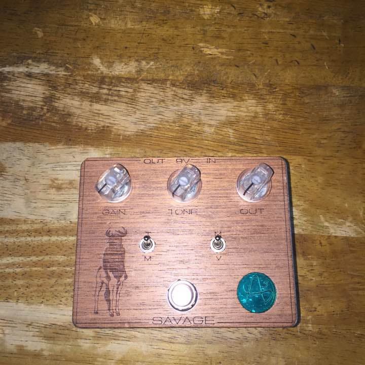 ギター Anasounds SAVEGE