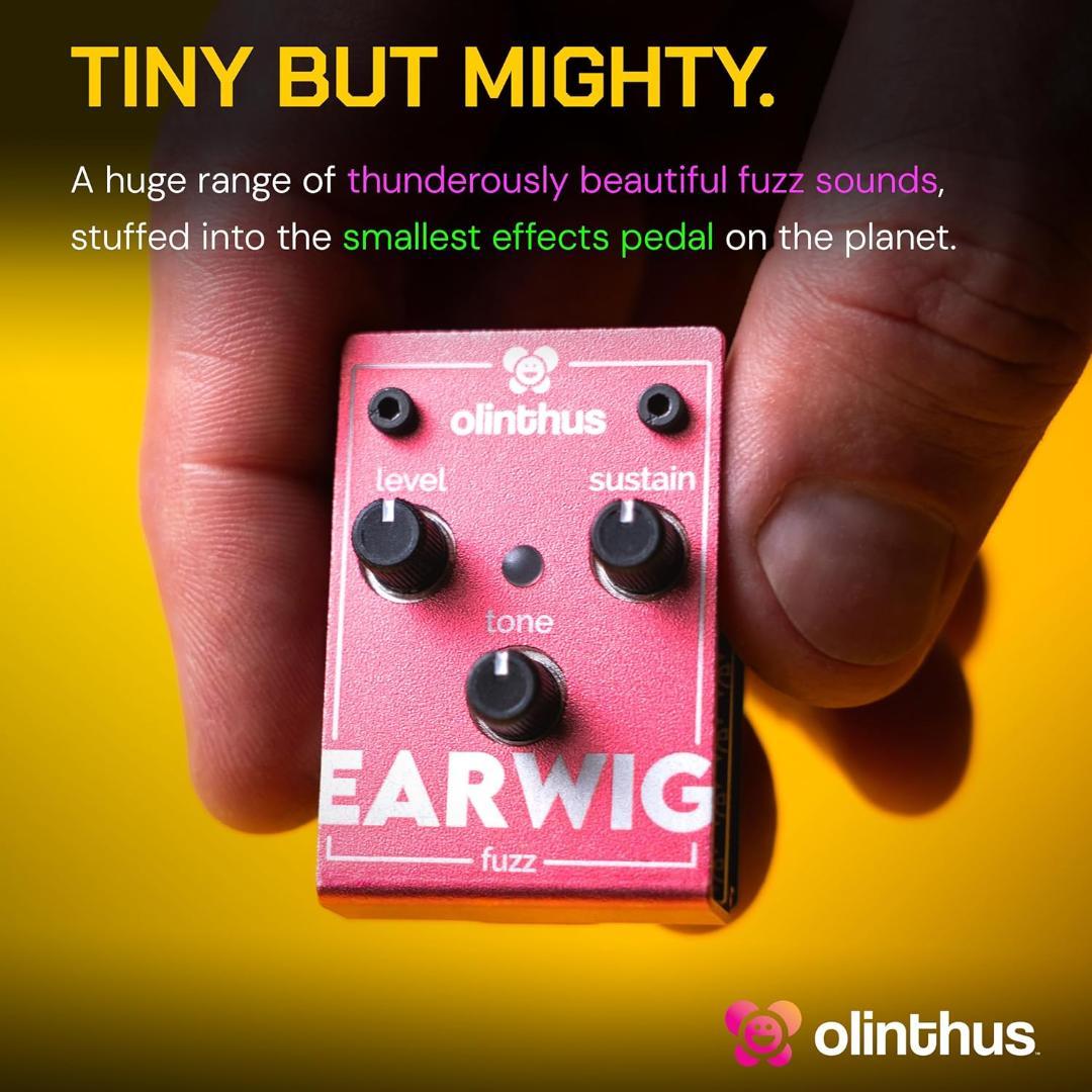 Olinthus オリンサス エフェクター ファズ Earwig [入出力用ブレ