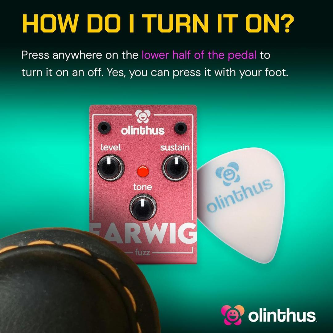 Olinthus オリンサス エフェクター ファズ Earwig [入出力用ブレ