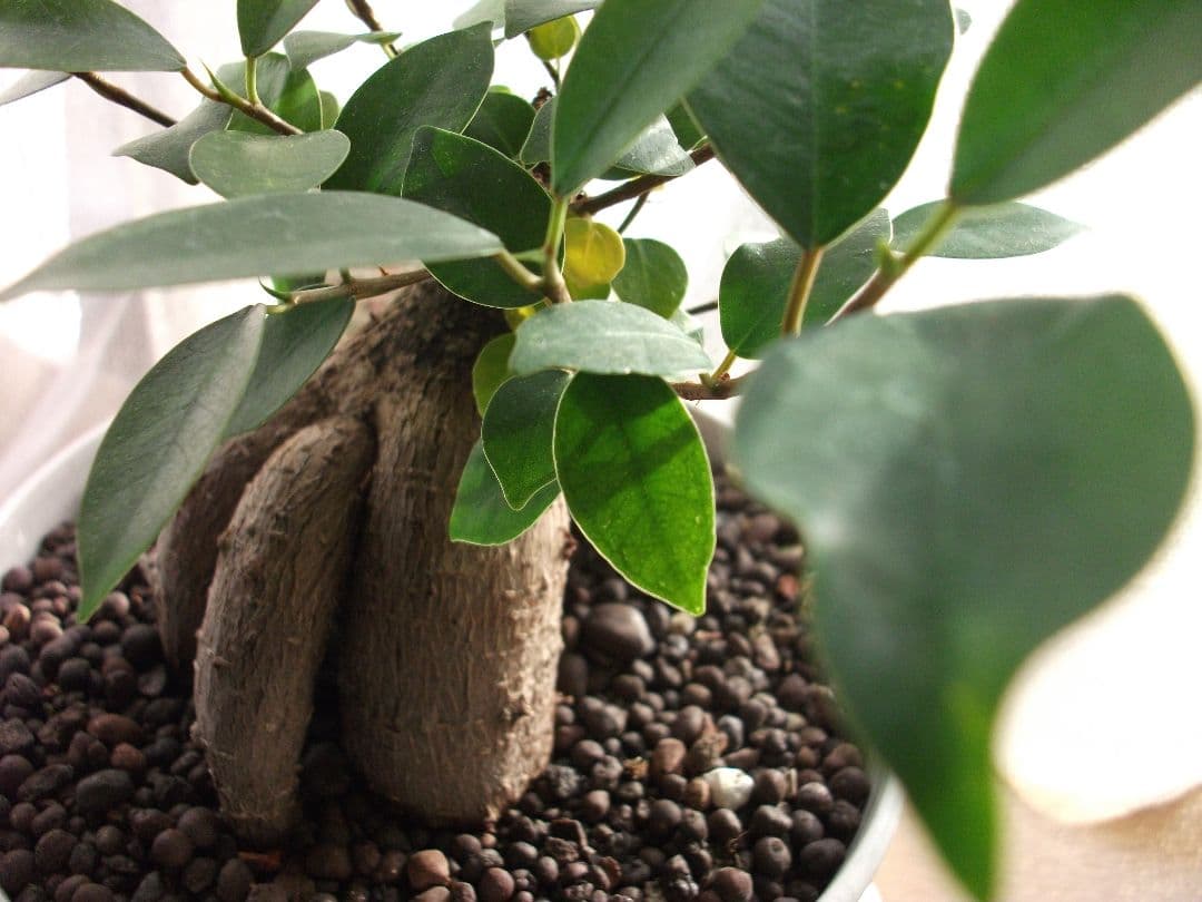 【まい様】【中古品】富士フィルム Fujifilm J30 コンデジカメラ