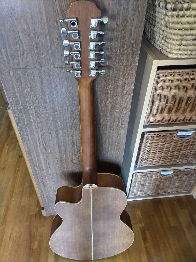 Aria 12弦エレアコ　FET-12-SPL N