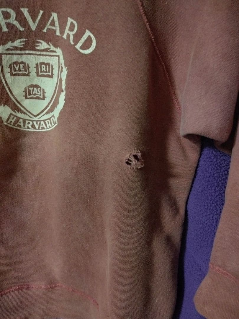 60s チャンピオンランタグ　ビンテージスウェットハーバード　サーモンピンク中C