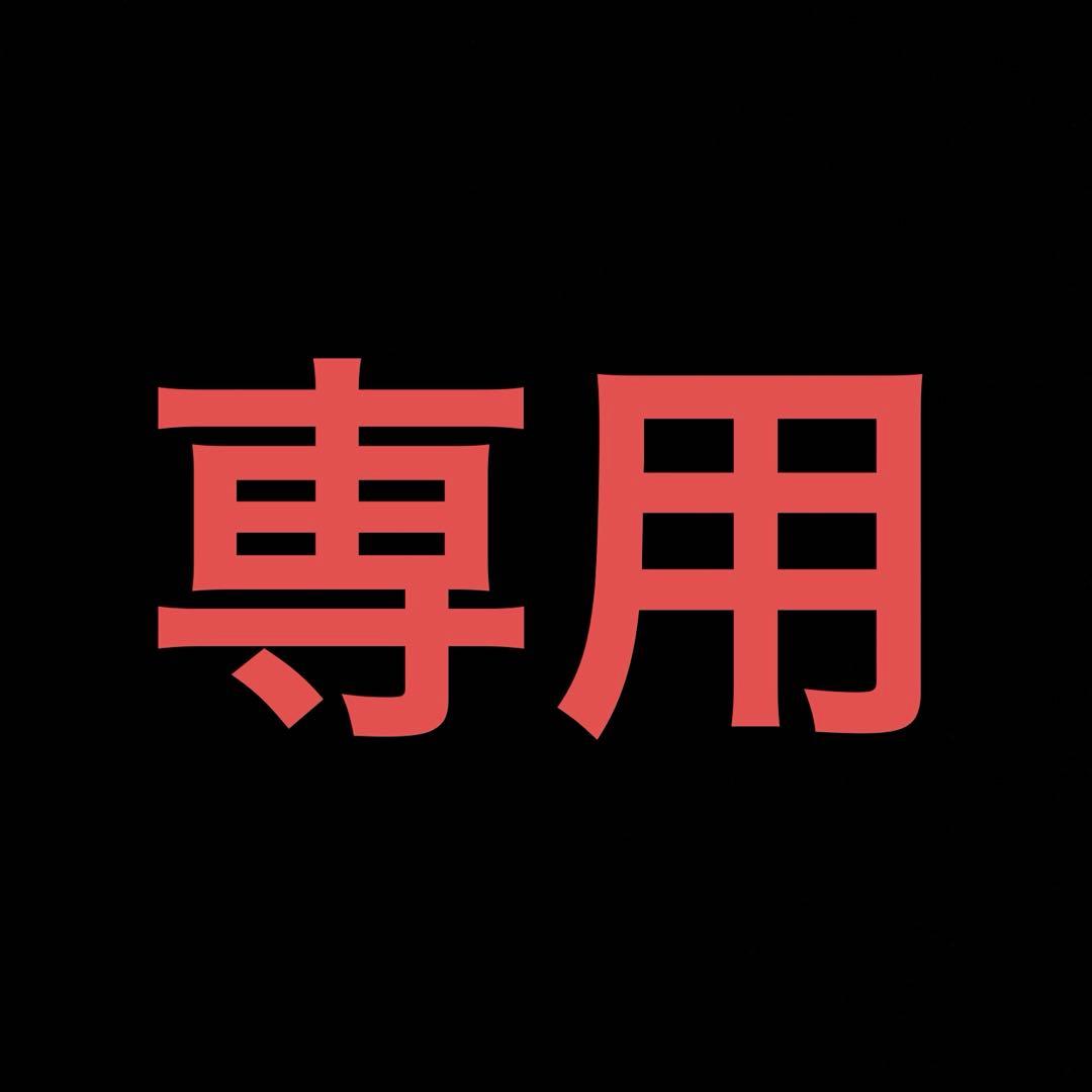 ハイエース100系シートレース　ワイヤー付き　専用