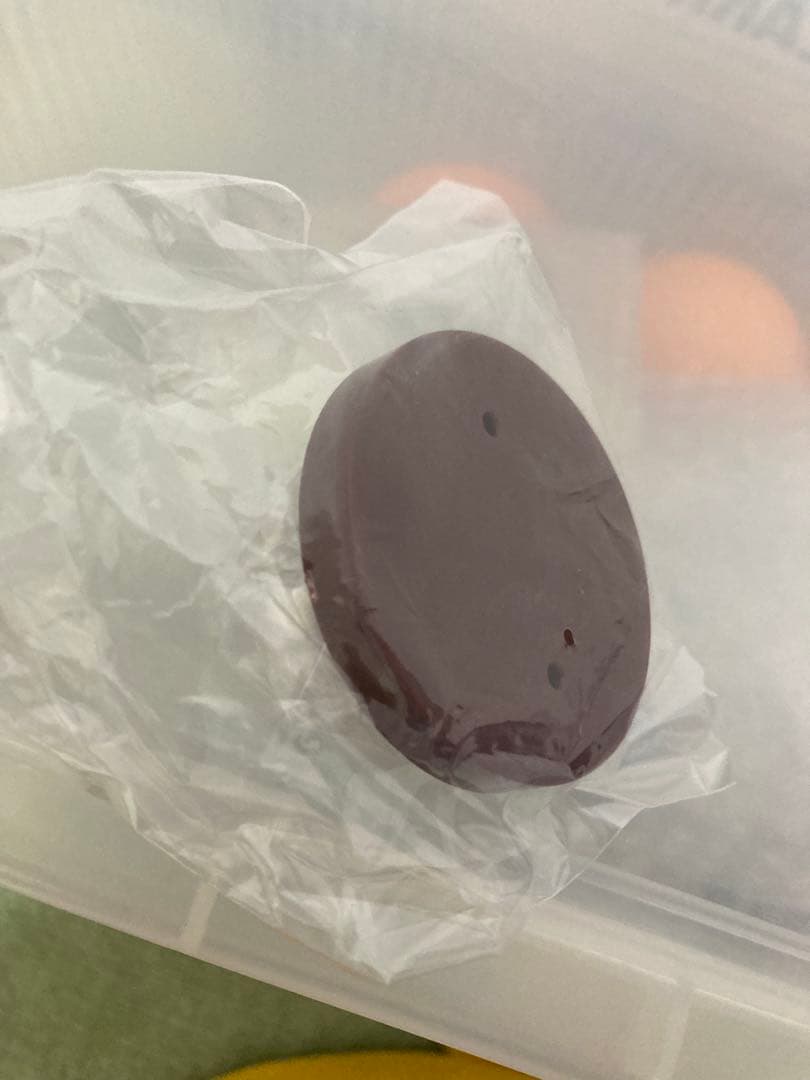 未開封 立体ポケモン図鑑 チルット チルタリス フィギュア