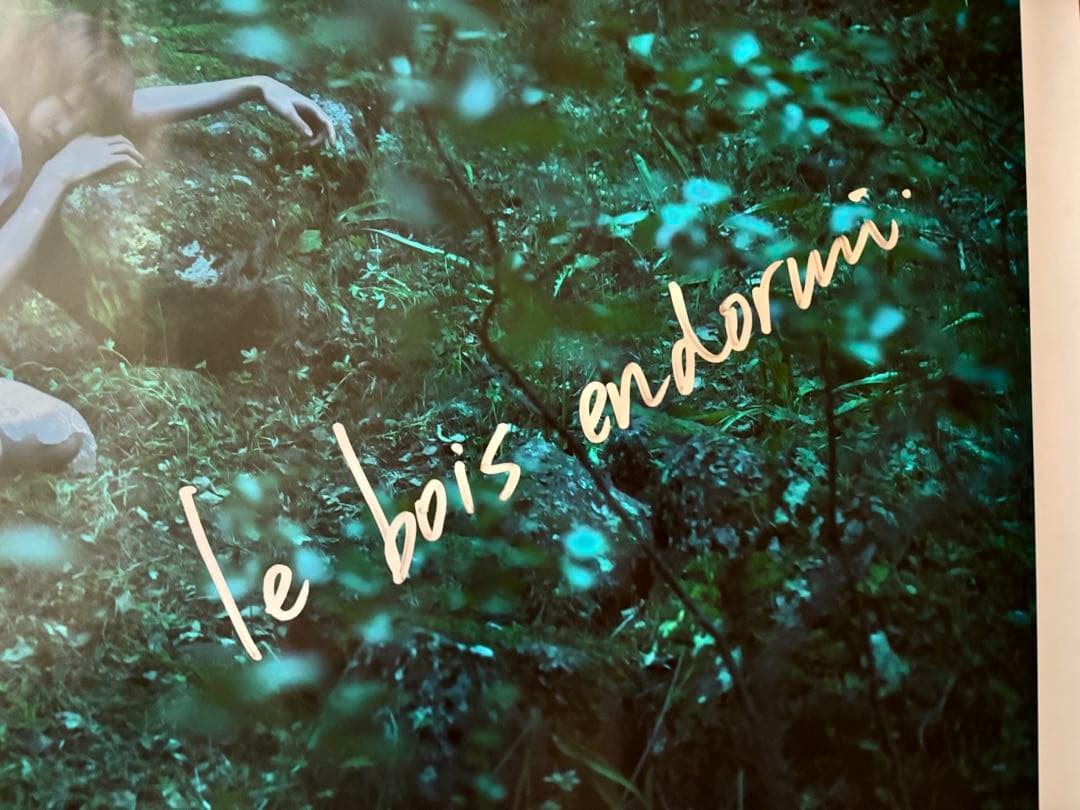 Aimer 「眠りの森」 直筆サイン入り ポスター