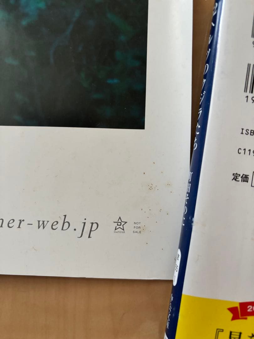 Aimer 「眠りの森」 直筆サイン入り ポスター