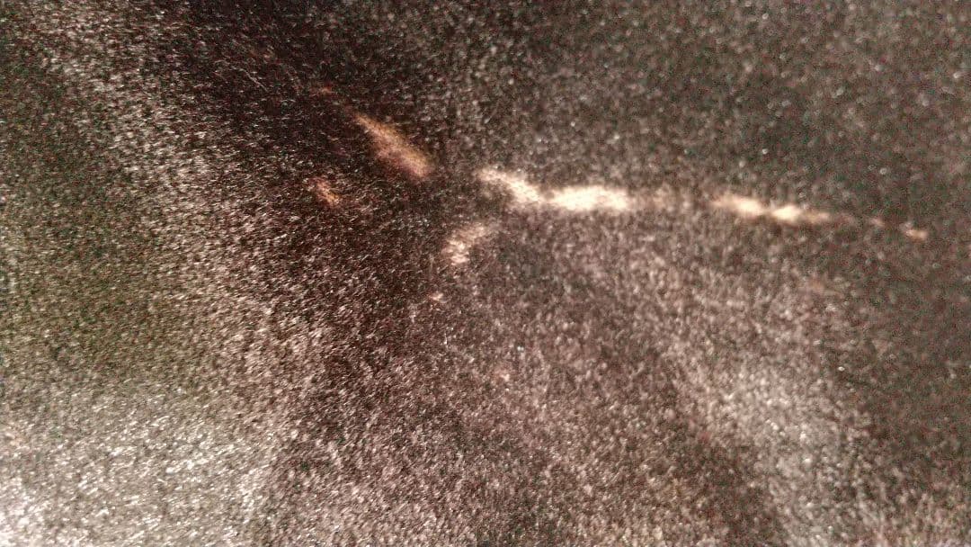 ☆本物☆金プレート２００６年モデル長渕剛さんドルガバ ベロア 1Bジャケット46