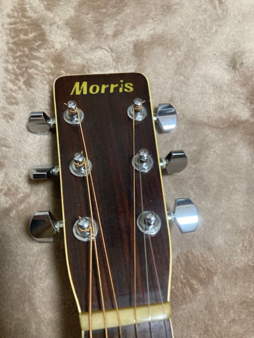L.R Baggs Anthem SL？搭載!　Morris W-28