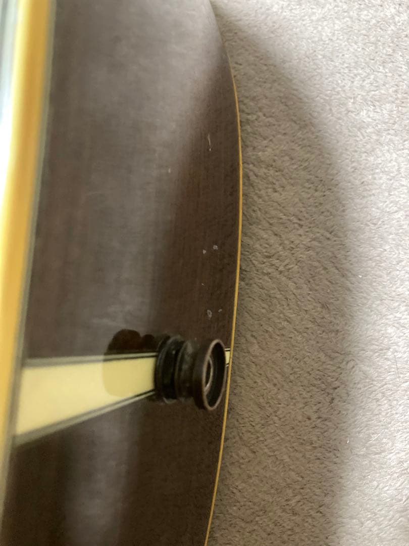 L.R Baggs Anthem SL？搭載!　Morris W-28