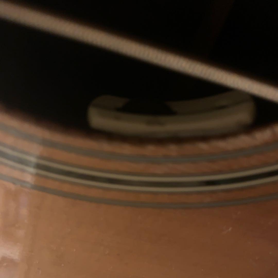 L.R Baggs Anthem SL？搭載!　Morris W-28