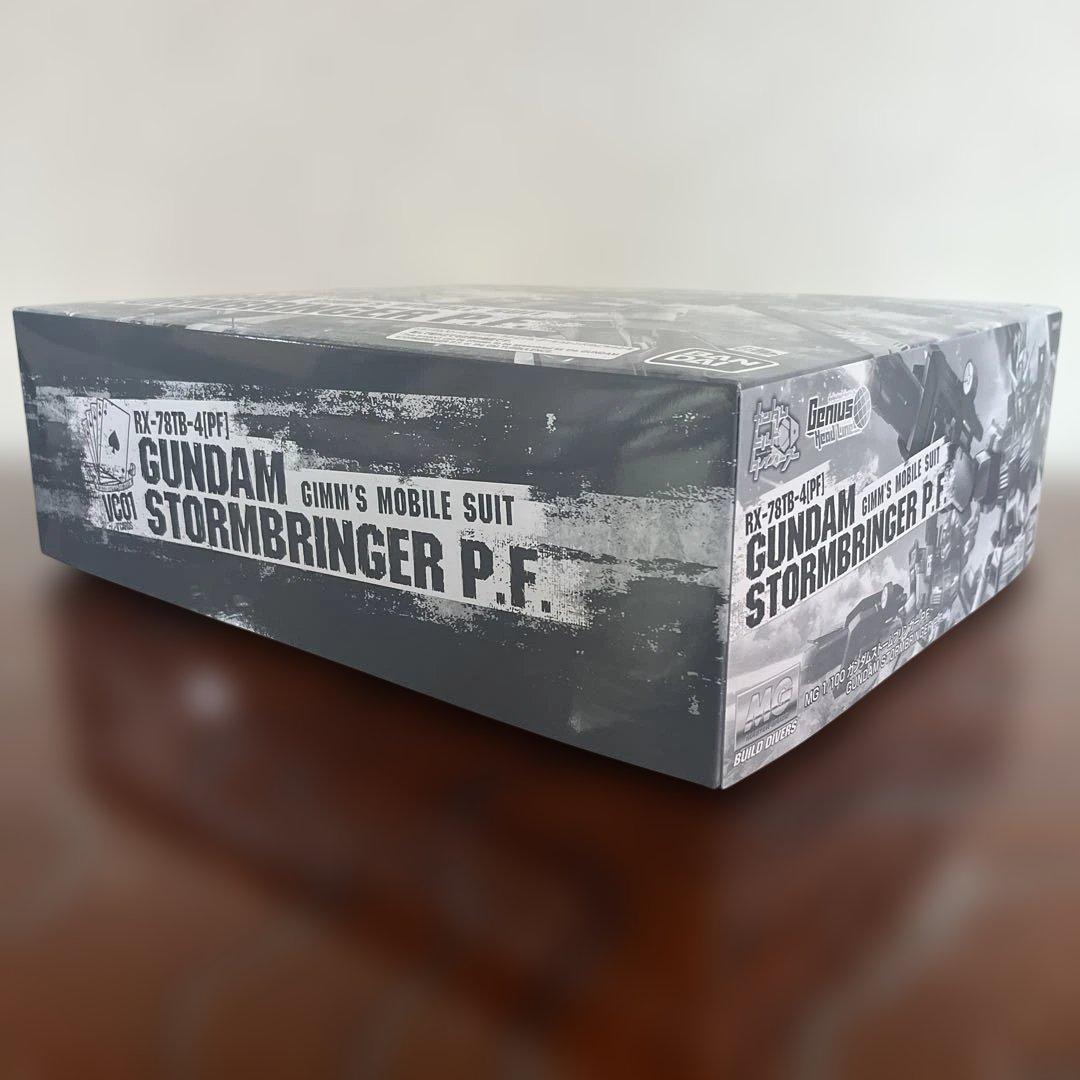MG 1/100 ガンダムストームブリンガー P.F.