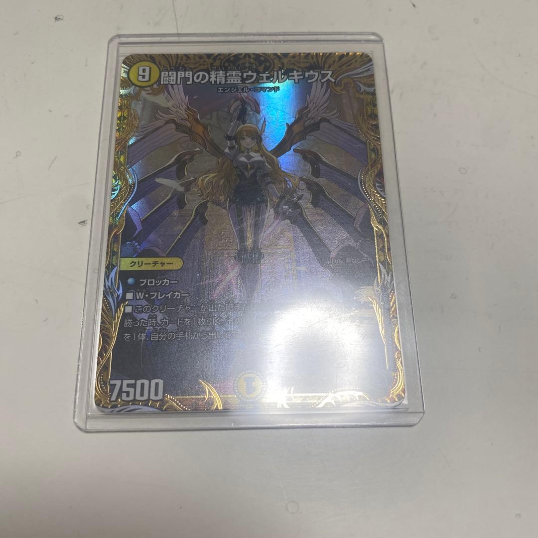 闘門の精霊ウェルキウス