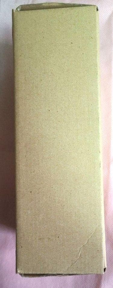 アイシア メイド服Ver. WFワンフェス限定ガレージキット はちみつ工房