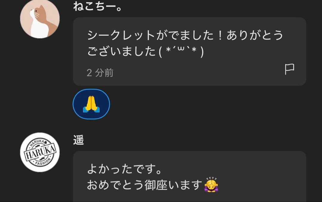 ちか専用正規品・未開封】Labubu Big into Energy 2箱