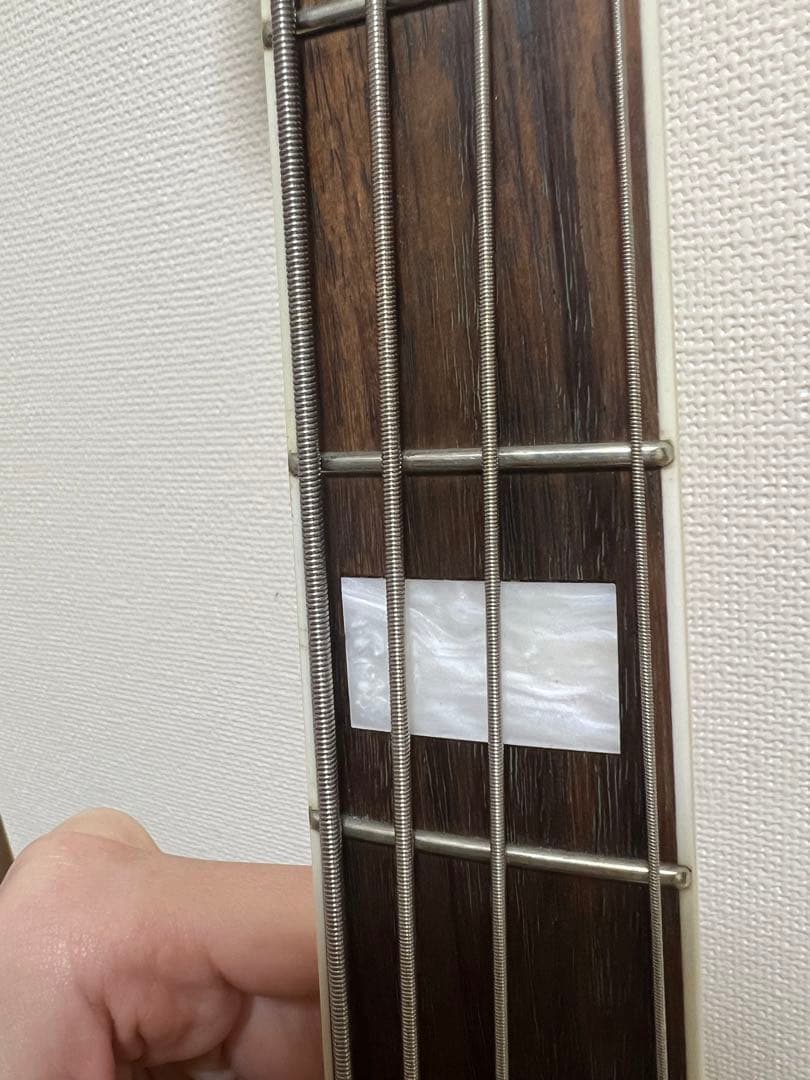 ミュージシャン EDWARDS E-JB-103R/LT