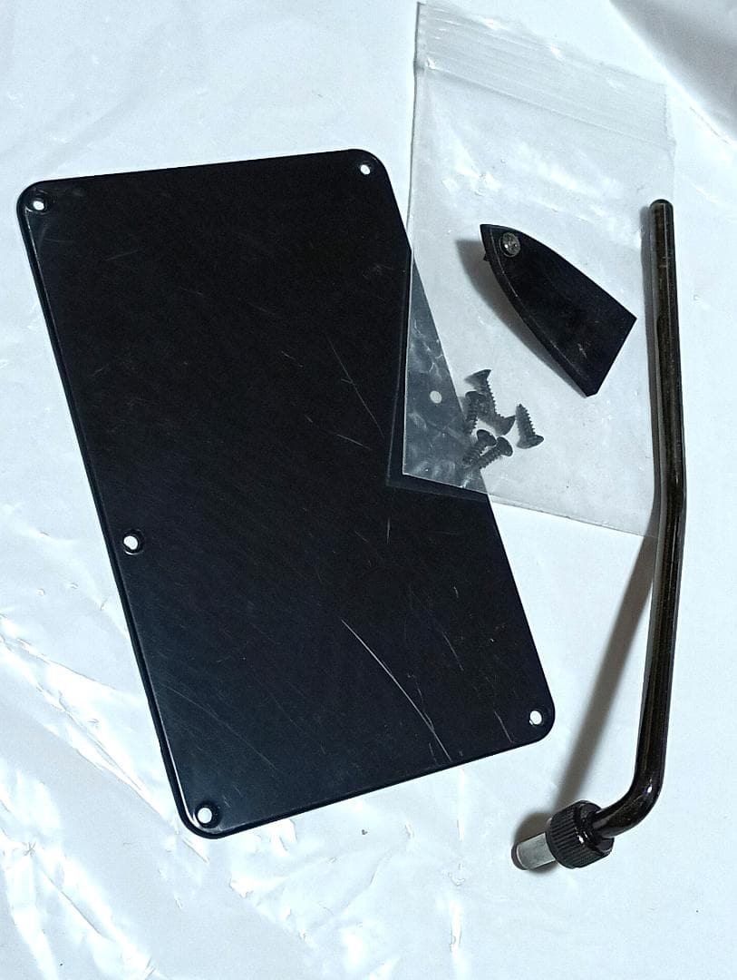 【SUGIZO直筆サイン入り！】 LUNASEA　TLRS　　　ESP R-Ⅰ