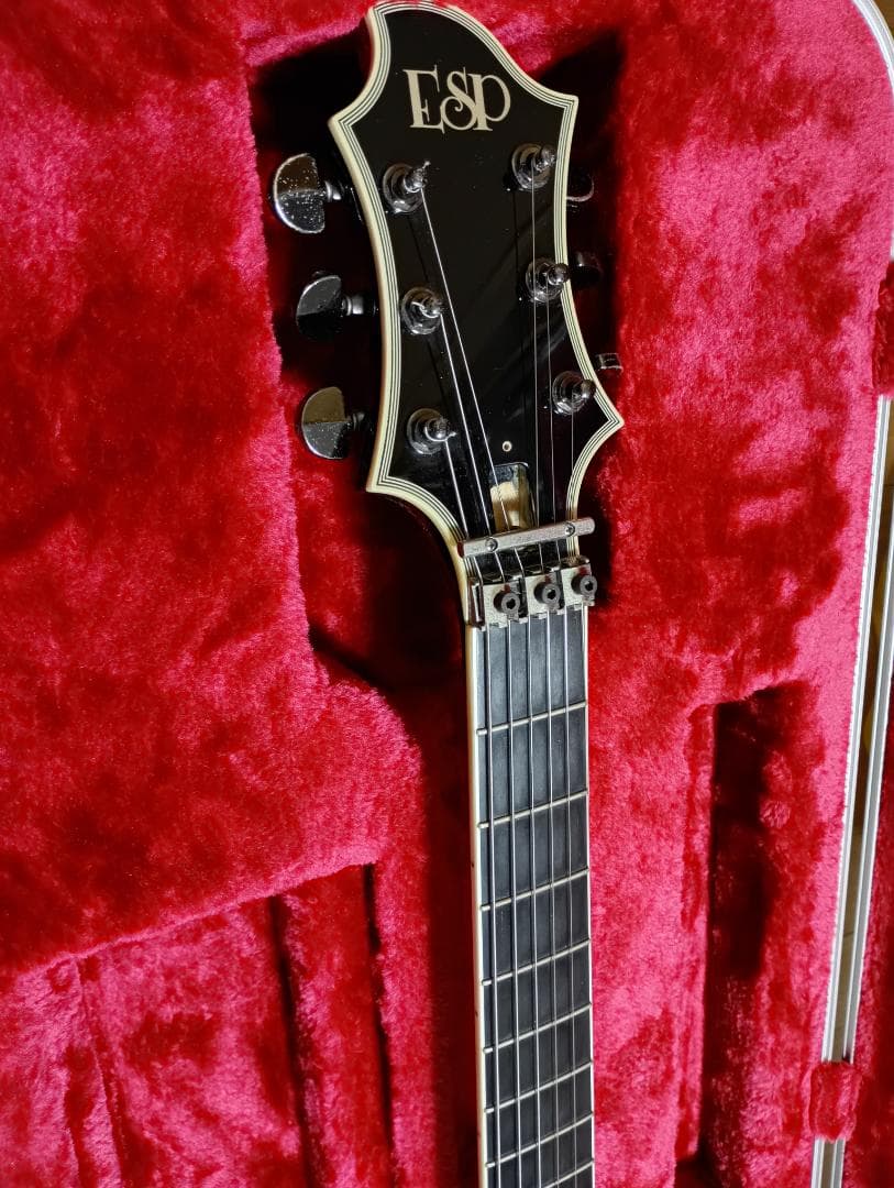 【SUGIZO直筆サイン入り！】 LUNASEA　TLRS　　　ESP R-Ⅰ