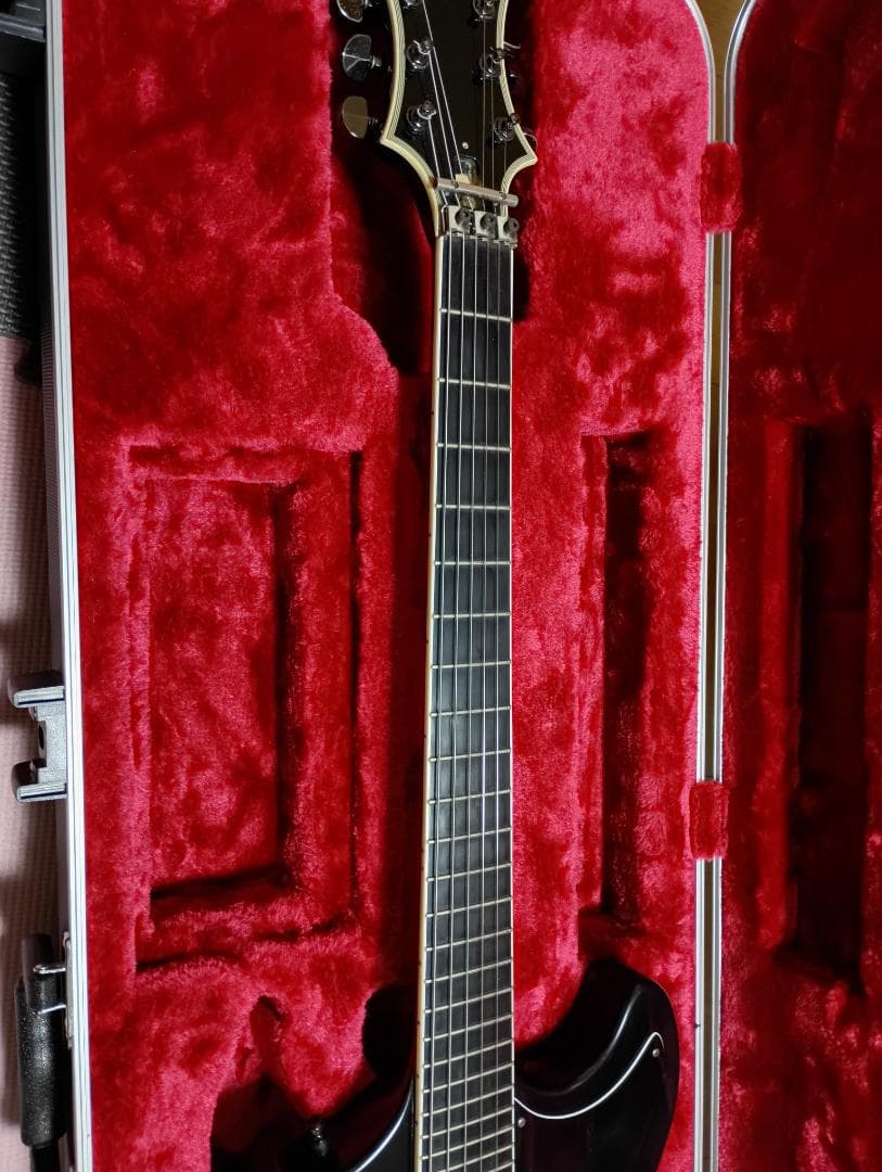 【SUGIZO直筆サイン入り！】 LUNASEA　TLRS　　　ESP R-Ⅰ