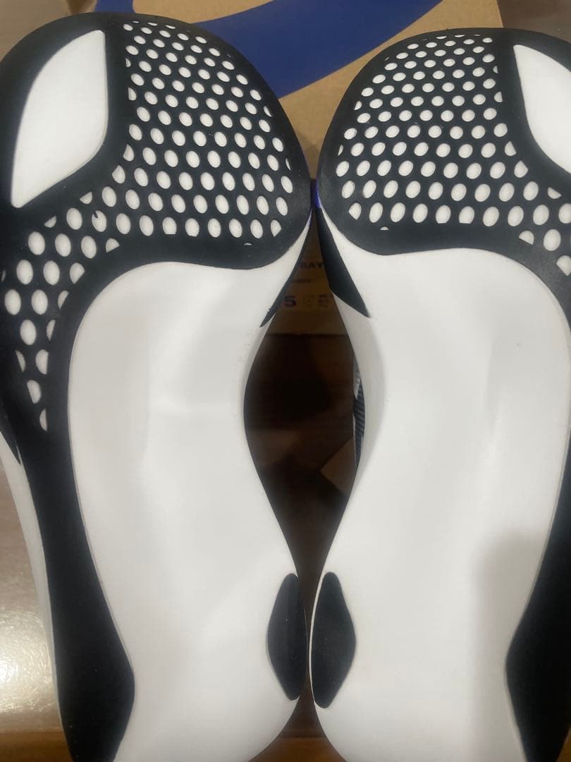 ASICS SPEED RAY 25.5cm NEWカラー