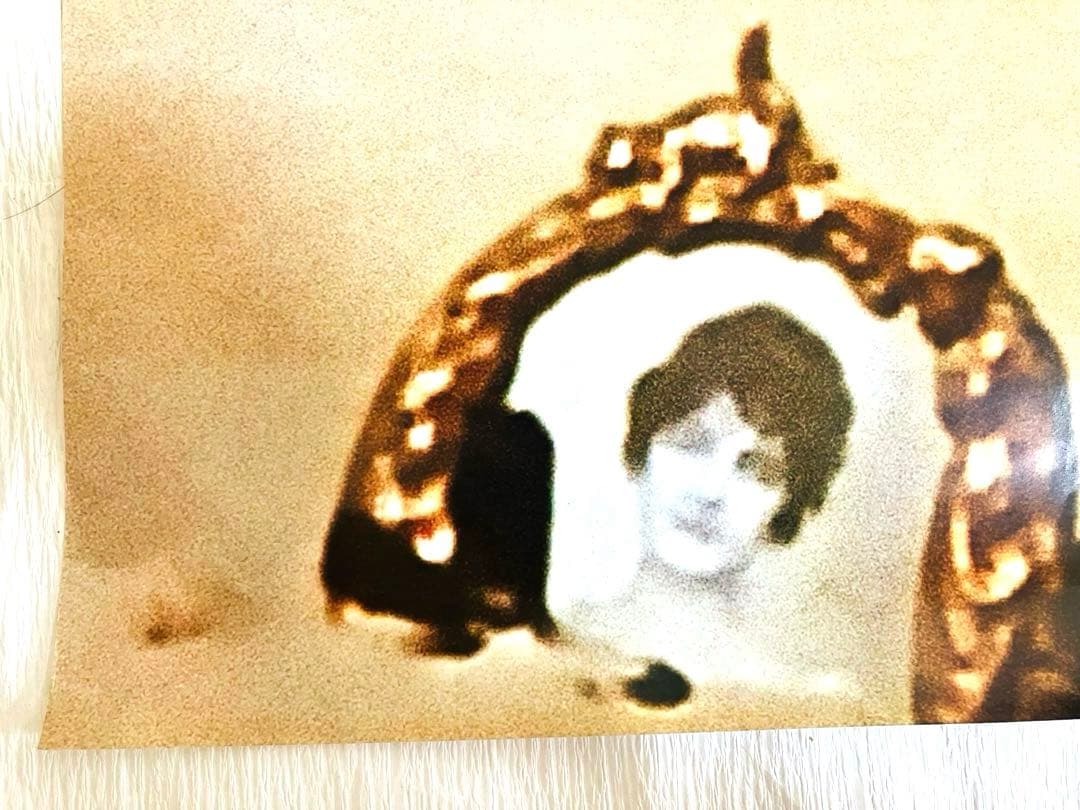 【非売品】エル・トポ/ホドロフスキー カルト映画 劇場ポスター 激レア 販促物‼️