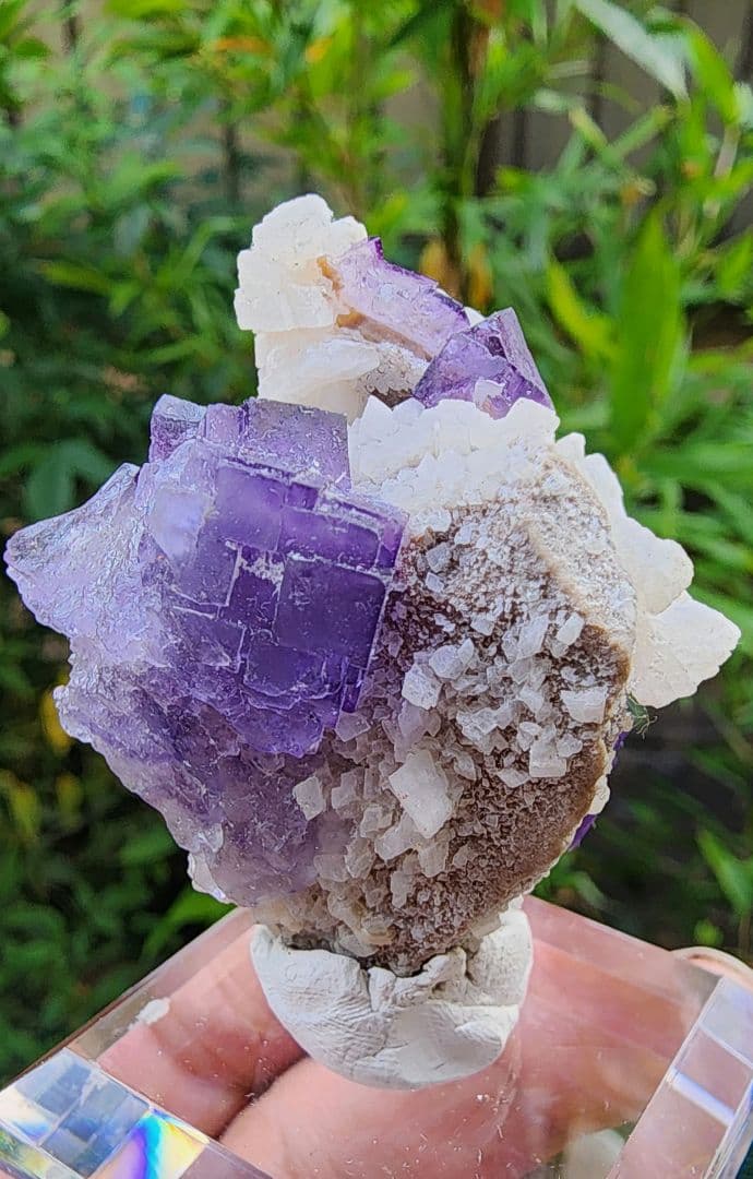 フローライト結晶 紫白 約8cm