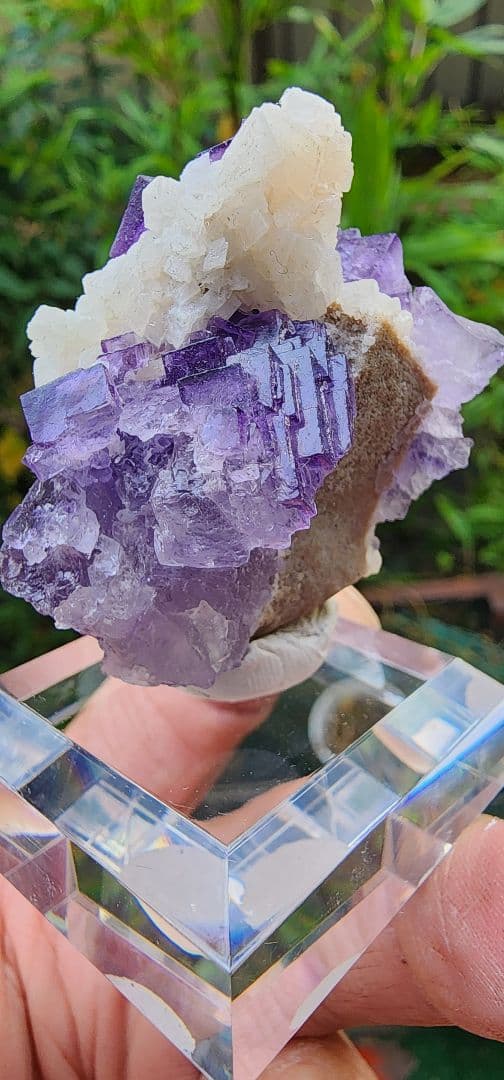 フローライト結晶 紫白 約8cm