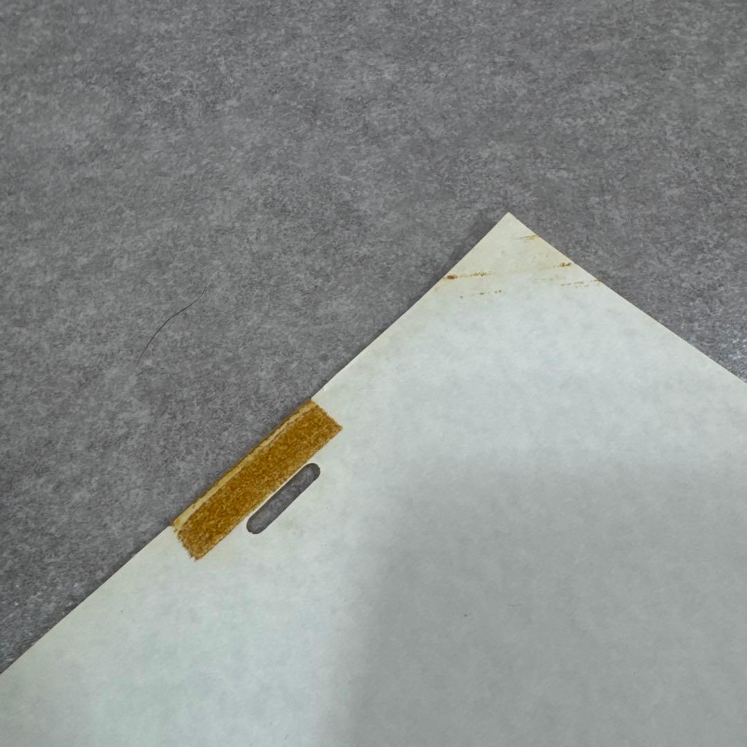 希少 おもひでぽろぽろ 岡島タエ子 セル画 A29 スタジオジブリ