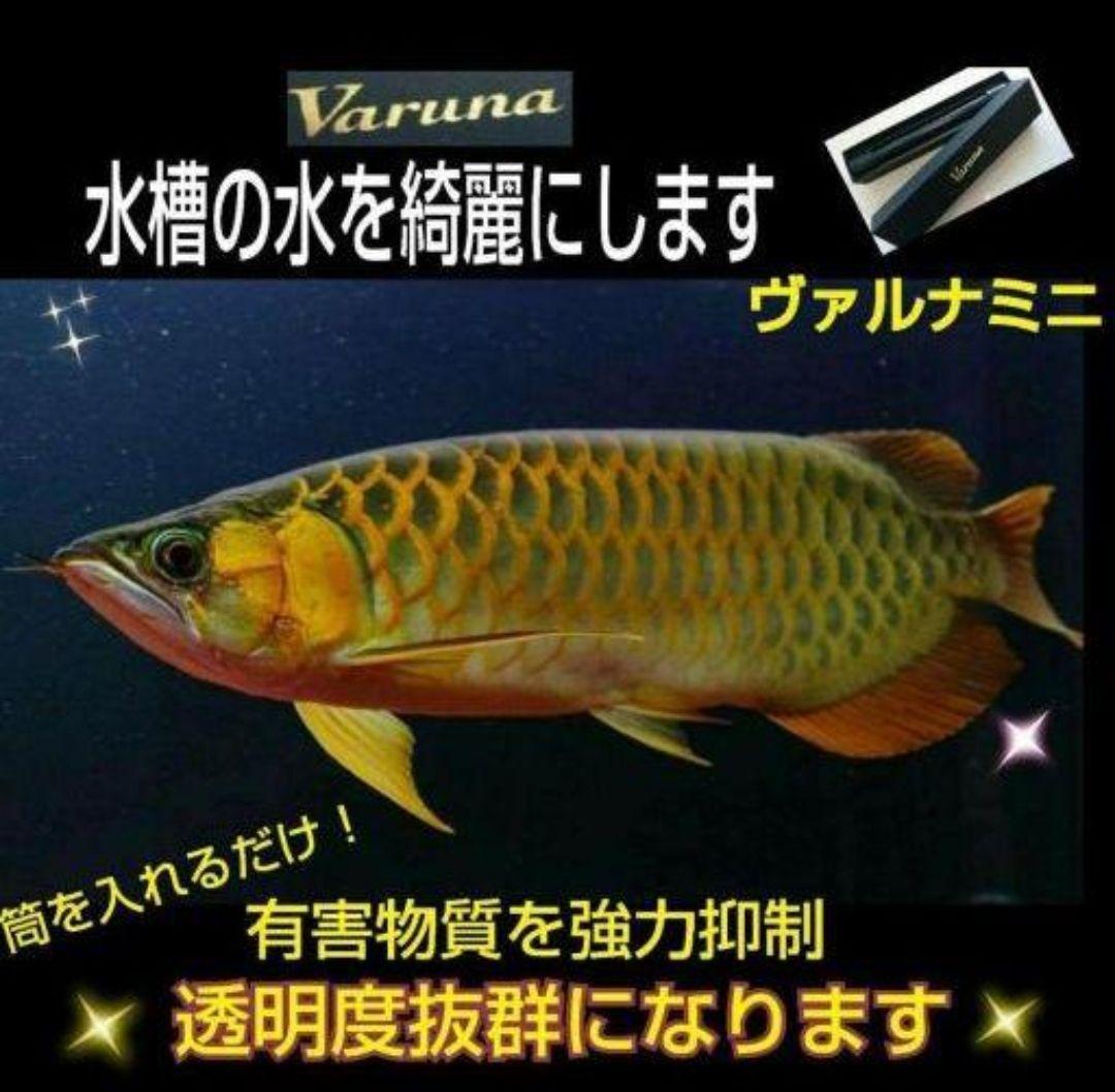 らんちゅうの飼育者絶賛！水槽の水を綺麗に保つ【ヴァルナ】有害物質、病原菌強力抑制